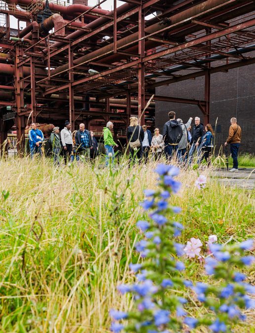 Erlebnis&shy;tage auf Zollverein